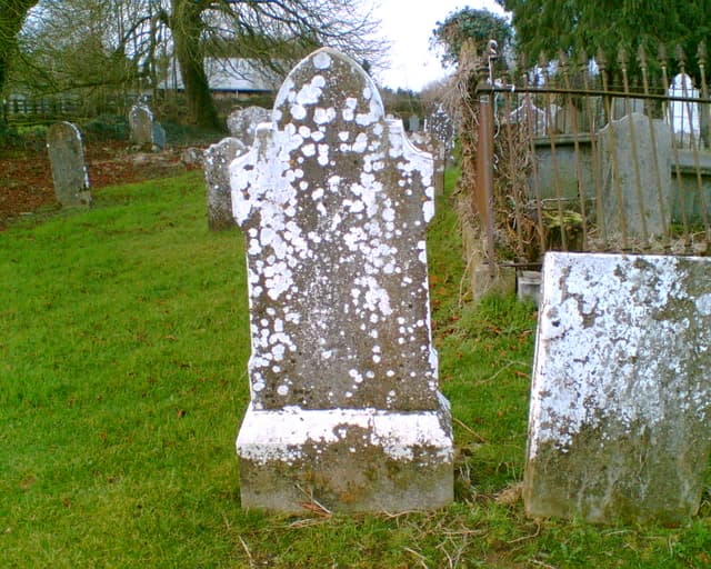 Maxey grave, Derrygrath Cemetery